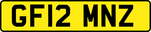 GF12MNZ