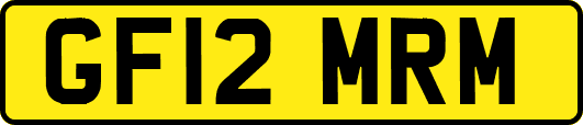 GF12MRM