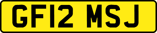 GF12MSJ