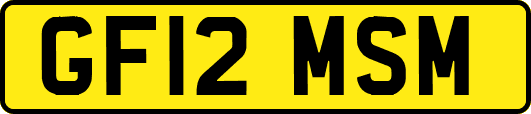 GF12MSM