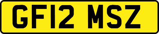 GF12MSZ