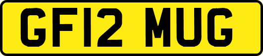GF12MUG