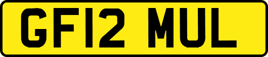 GF12MUL