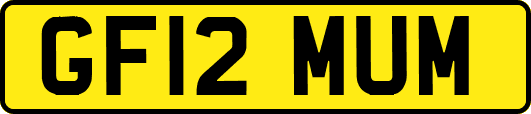 GF12MUM