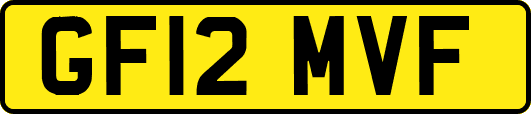 GF12MVF