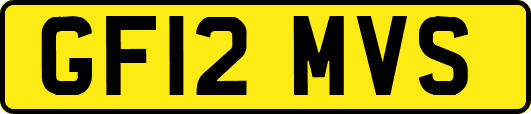 GF12MVS