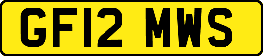 GF12MWS