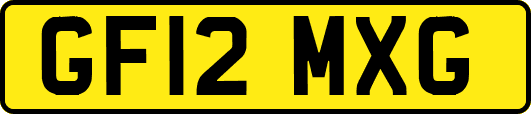 GF12MXG