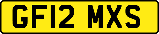 GF12MXS