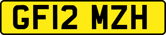GF12MZH