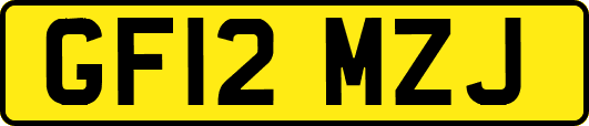 GF12MZJ