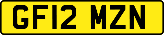 GF12MZN