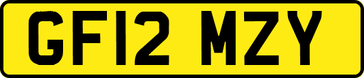 GF12MZY