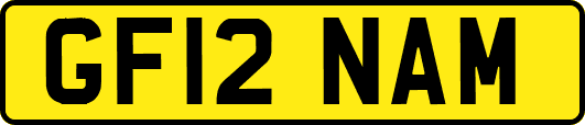 GF12NAM