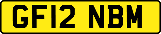 GF12NBM