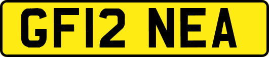 GF12NEA