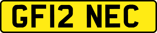 GF12NEC