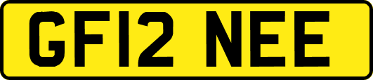 GF12NEE