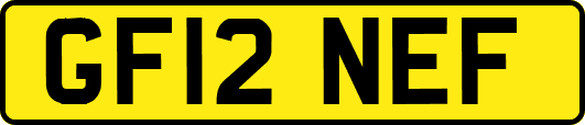 GF12NEF