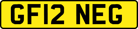 GF12NEG