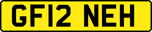 GF12NEH