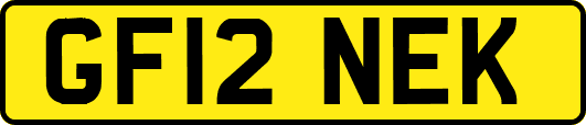 GF12NEK