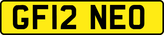 GF12NEO