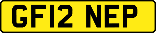 GF12NEP