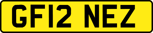GF12NEZ