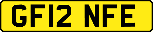 GF12NFE