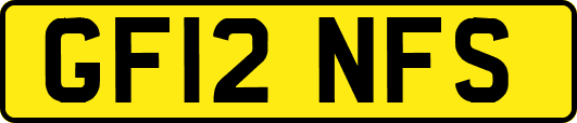 GF12NFS