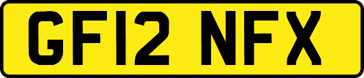 GF12NFX