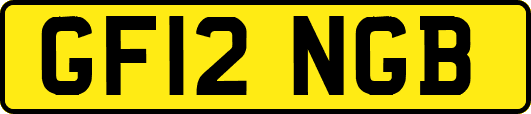 GF12NGB