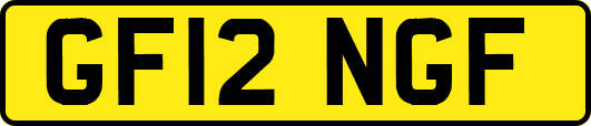 GF12NGF