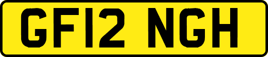 GF12NGH