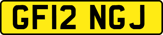 GF12NGJ