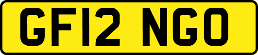 GF12NGO