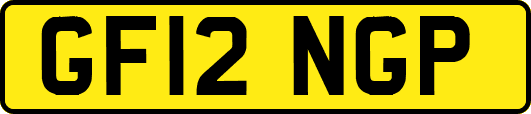 GF12NGP