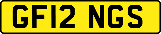 GF12NGS