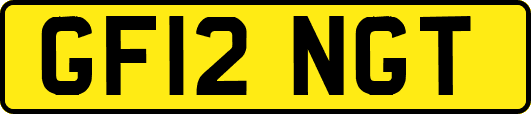 GF12NGT