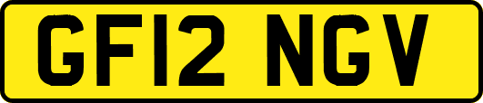 GF12NGV