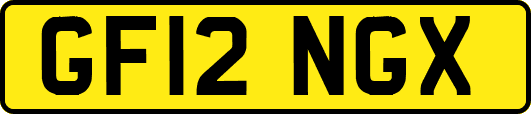 GF12NGX