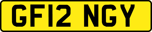 GF12NGY
