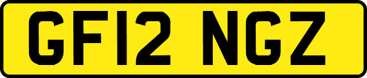 GF12NGZ