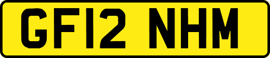 GF12NHM