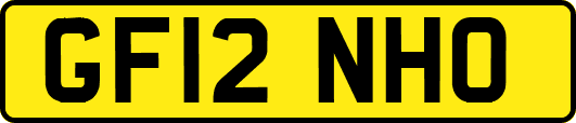 GF12NHO