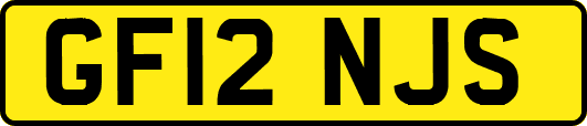 GF12NJS