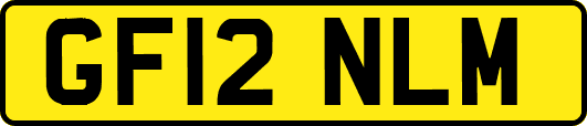 GF12NLM