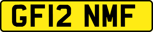 GF12NMF