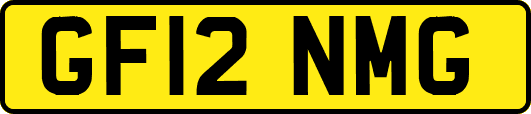 GF12NMG
